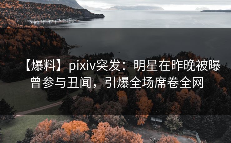 【爆料】pixiv突发：明星在昨晚被曝曾参与丑闻，引爆全场席卷全网