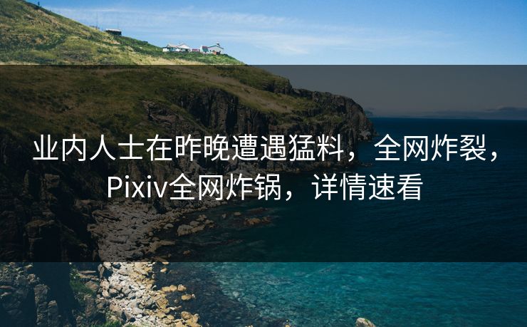 业内人士在昨晚遭遇猛料，全网炸裂，Pixiv全网炸锅，详情速看