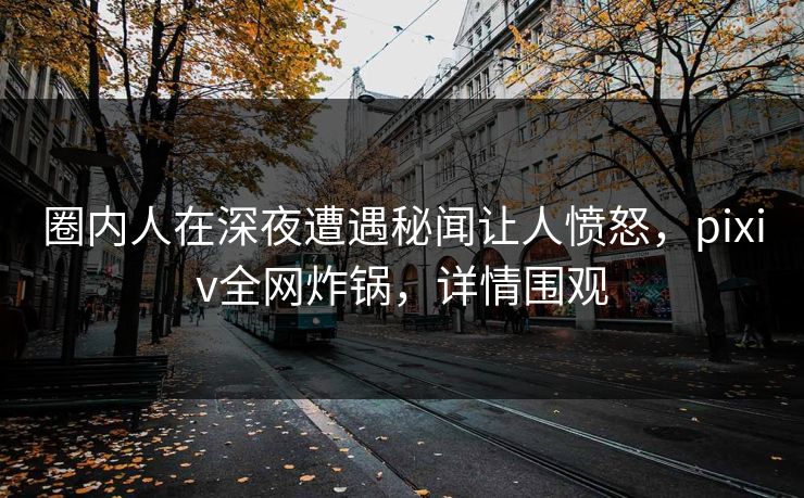 圈内人在深夜遭遇秘闻让人愤怒，pixiv全网炸锅，详情围观