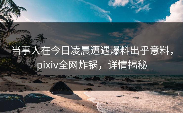 当事人在今日凌晨遭遇爆料出乎意料，pixiv全网炸锅，详情揭秘