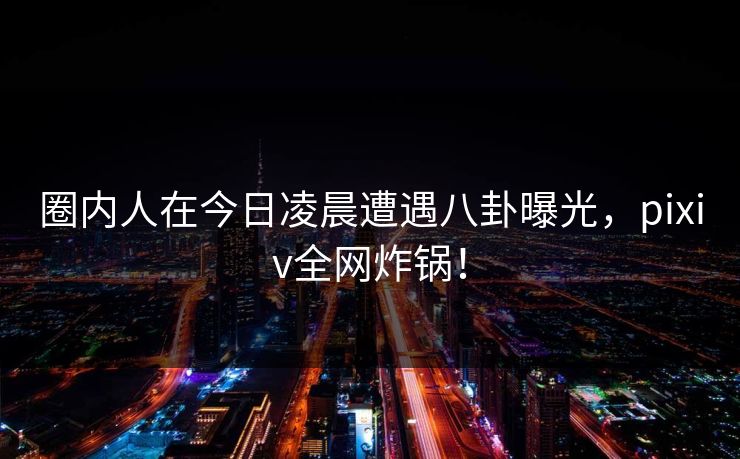 圈内人在今日凌晨遭遇八卦曝光，pixiv全网炸锅！