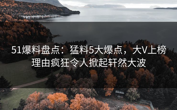 51爆料盘点：猛料5大爆点，大V上榜理由疯狂令人掀起轩然大波
