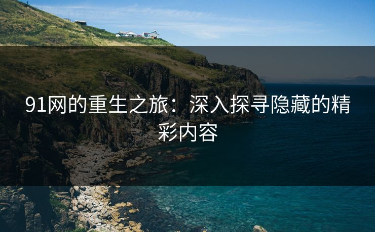 91网的重生之旅：深入探寻隐藏的精彩内容